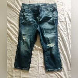Torrid Crop High Rise Super Soft Skinny Jeans 2X NWT Denim